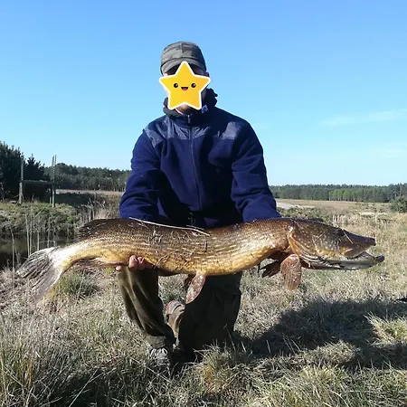 Bory Tucholskie - Kurs Na Wypoczynek Osieczno