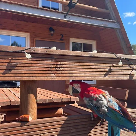 度假居 Bory Tucholskie - Kurs Na Wypoczynek