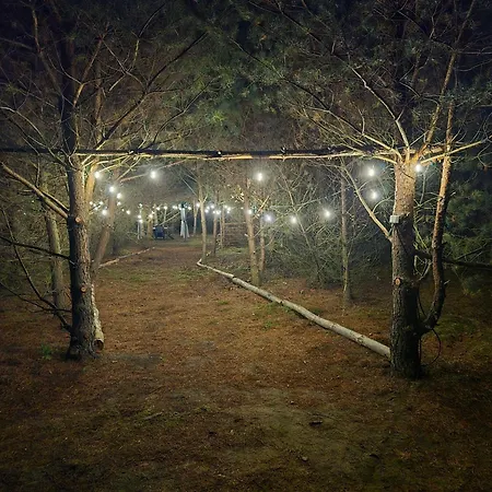 Bory Tucholskie - Kurs Na Wypoczynek